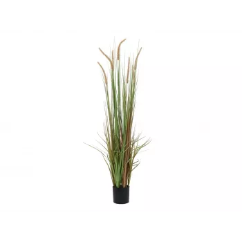 EUROPALMS dirbtinė lampenputerio žolė, 120cm 82600121