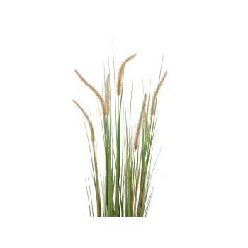 EUROPALMS dirbtinė lampenputerio žolė, 120cm 82600121