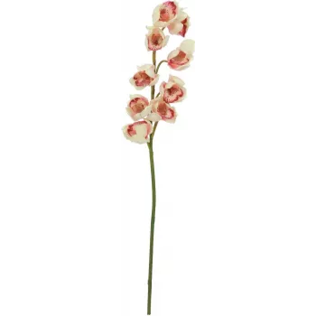 EUROPALMS dirbtinė cymbidium šakelė, kreminė-rožinė, 90cm 82530311