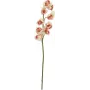 EUROPALMS dirbtinė cymbidium šakelė, kreminė-rožinė, 90cm 82530311
