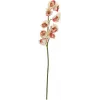 EUROPALMS dirbtinė cymbidium šakelė, kreminė-rožinė, 90cm 82530311