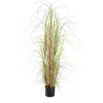 EUROPALMS Dirbtinė žolės puokštė, 150 cm, žalia, vidaus dekoravimui 82600127