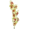 EUROPALMS dirbtinė cymbidium orchidėjos šakelė, žalia, 90cm 82530313