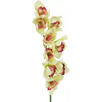 EUROPALMS dirbtinė cymbidium orchidėjos šakelė, žalia, 90cm 82530313