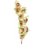 EUROPALMS dirbtinė cymbidium orchidėjos šakelė, žalia, 90cm 82530313