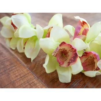 EUROPALMS dirbtinė cymbidium orchidėjos šakelė, žalia, 90cm 82530313
