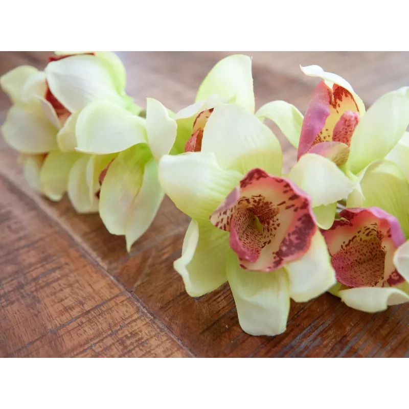 EUROPALMS dirbtinė cymbidium orchidėjos šakelė, žalia, 90cm 82530313