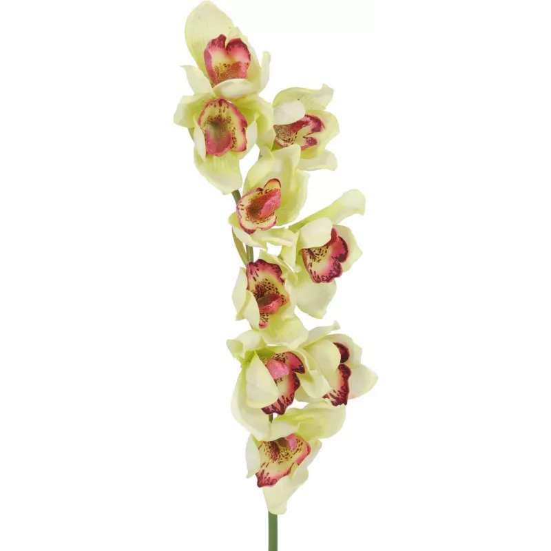 EUROPALMS dirbtinė cymbidium orchidėjos šakelė, žalia, 90cm 82530313