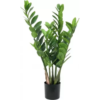 EUROPALMS Zamifolia dirbtinis ZZ augalas, 70 cm, juodas vazonas 82600153