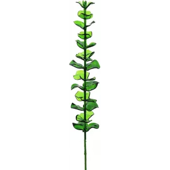EUROPALMS Crystal Eucalyptus dirbtinis augalas, žalias, 81 cm, 12 stiebų 82600200