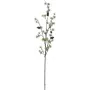 EUROPALMS dirbtinė maumedžio šaka, PE, 100 cm 83500418