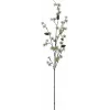 EUROPALMS dirbtinė maumedžio šaka, PE, 100 cm 83500418