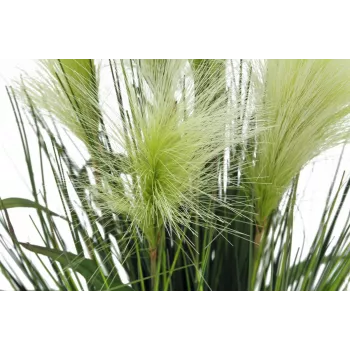 EUROPALMS dirbtinis plunksninis ašuolas, baltas, 60 cm, 82505864