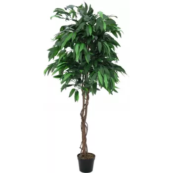 EUROPALMS Dirbtinis mangų džiunglių medis, 180cm, tikro medžio kamienas, tekstilinės lapai, cementinė vaza 82506726