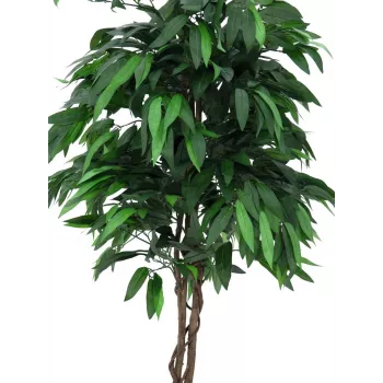 EUROPALMS Dirbtinis mangų džiunglių medis, 180cm, tikro medžio kamienas, tekstilinės lapai, cementinė vaza 82506726