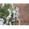 EUROPALMS Dirbtinis auksinis lietaus medis, balti žiedai, 180cm 82507106
