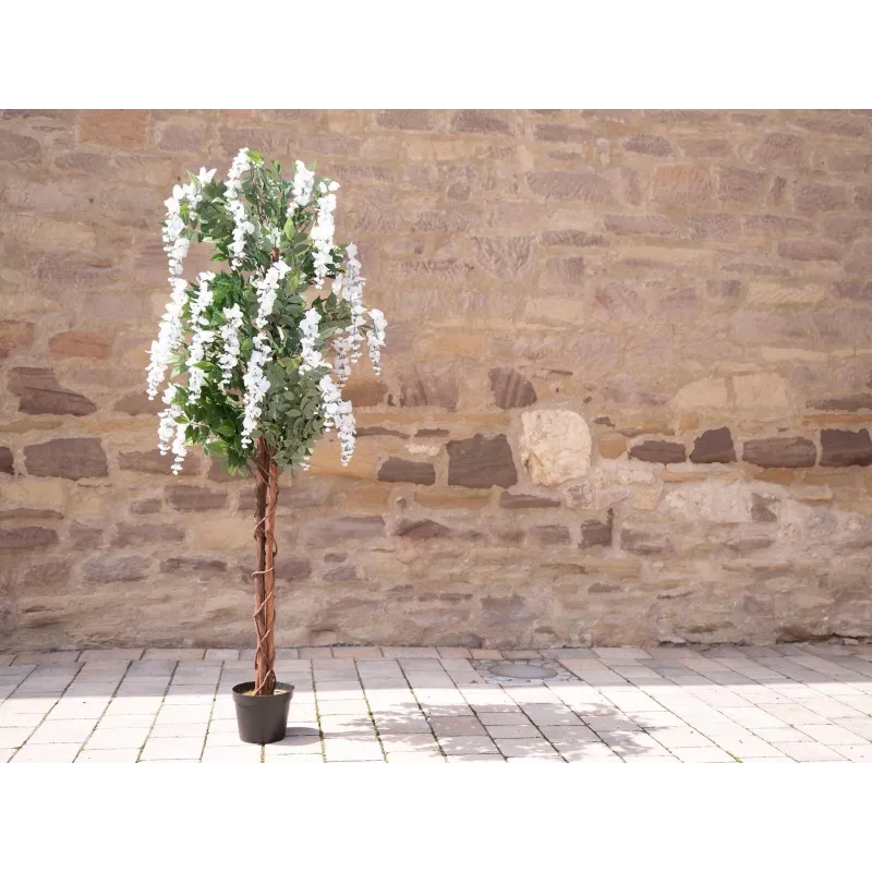 EUROPALMS Dirbtinis auksinis lietaus medis, balti žiedai, 180cm 82507106