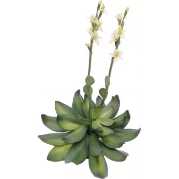EUROPALMS Stone Rose (EVA) dirbtinis augalas, geltonas, 32cm 82530573
