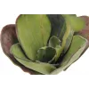 EUROPALMS dirbtinė vandens lelija (EVA), uždara, žalia, 45cm 82530575