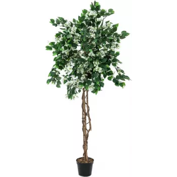 EUROPALMS Bougainvillea dirbtinis augalas, baltas, 180 cm 82507086