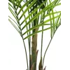 EUROPALMS Didelio Lapo Areka Dirbtinis Augalas, 165cm 82509441