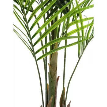 EUROPALMS Didelio Lapo Areka Dirbtinis Augalas, 165cm 82509441