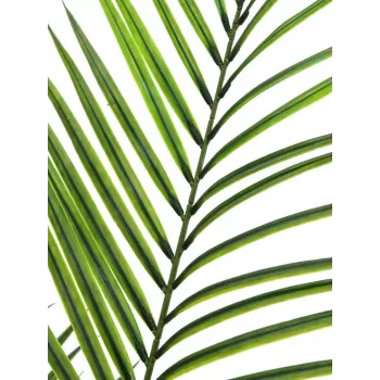 EUROPALMS Didelio Lapo Areka Dirbtinis Augalas, 165cm 82509441