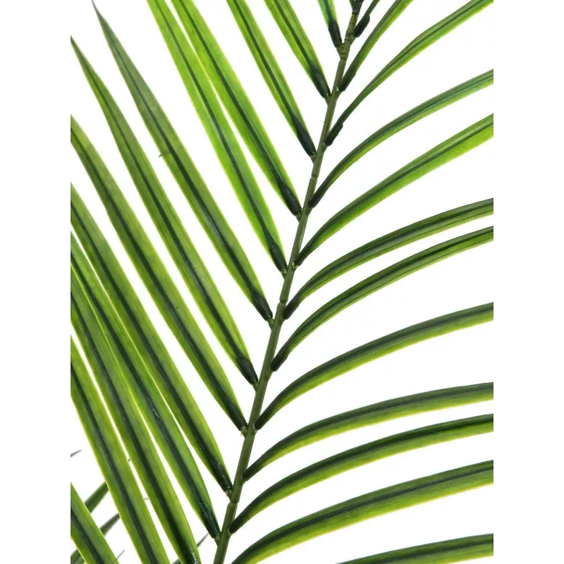 EUROPALMS Didelio Lapo Areka Dirbtinis Augalas, 165cm 82509441