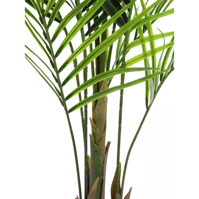 EUROPALMS Didelio Lapo Areka Dirbtinis Augalas, 165cm 82509441