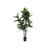 EUROPALMS dirbtinis kaučiukmedis (Ficus elastica), 120 cm, 82600150