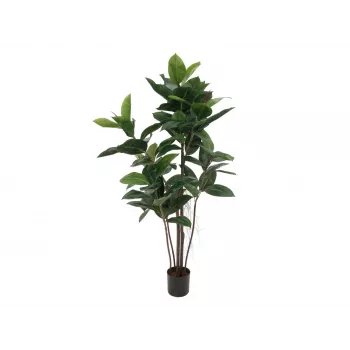 EUROPALMS dirbtinis kaučiukmedis (Ficus elastica), 120 cm, 82600150