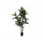 EUROPALMS dirbtinis kaučiukmedis (Ficus elastica), 120 cm, 82600150
