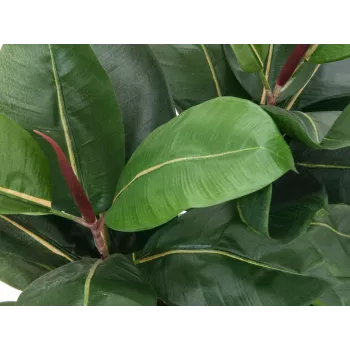 EUROPALMS dirbtinis kaučiukmedis (Ficus elastica), 120 cm, 82600150