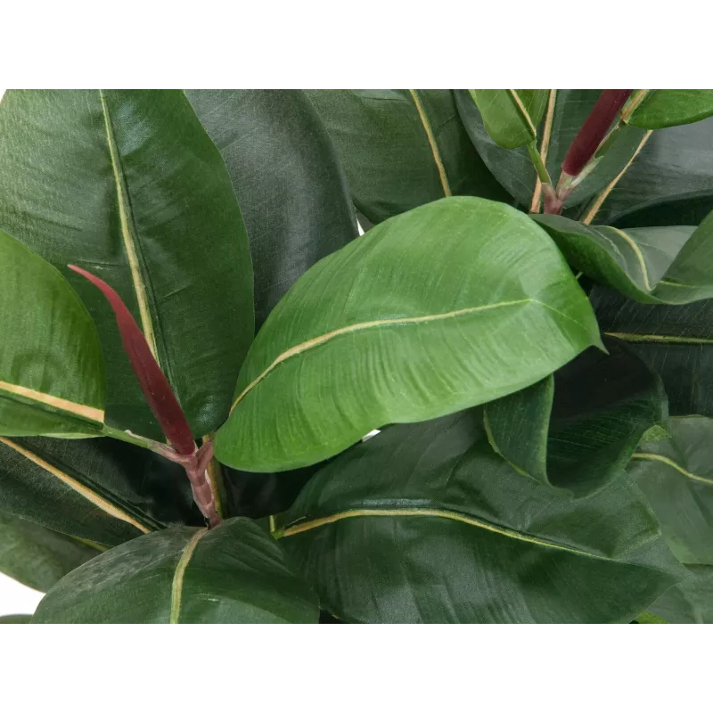 EUROPALMS dirbtinis kaučiukmedis (Ficus elastica), 120 cm, 82600150