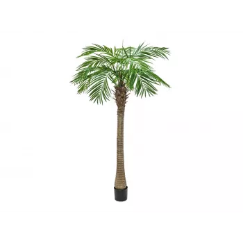 EUROPALMS Phoenix Palm Luxor dirbtinis augalas, 240 cm 82510722