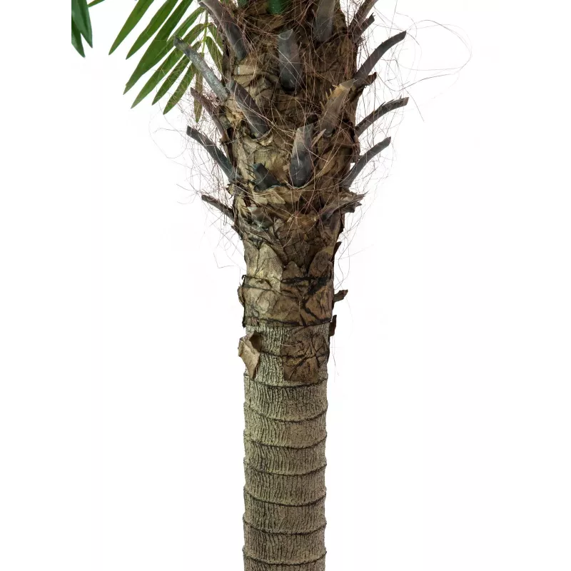 EUROPALMS Phoenix Palm Luxor dirbtinis augalas, 240 cm 82510722