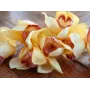 EUROPALMS dirbtinė cymbidium orchidėjos šakelė, geltona, 90cm 82530314