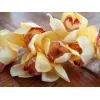 EUROPALMS dirbtinė cymbidium orchidėjos šakelė, geltona, 90cm 82530314