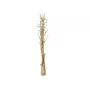 EUROPALMS Džiovintų pankolių puokštė, auksinė, 160cm 83502363