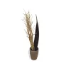 EUROPALMS Džiovintų pankolių puokštė, auksinė, 160cm 83502363