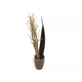 EUROPALMS Džiovintų pankolių puokštė, auksinė, 160cm 83502363