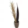 EUROPALMS Džiovintų pankolių puokštė, auksinė, 160cm 83502363