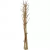 EUROPALMS Džiovintų pankolių puokštė, auksinė, 160cm 83502363