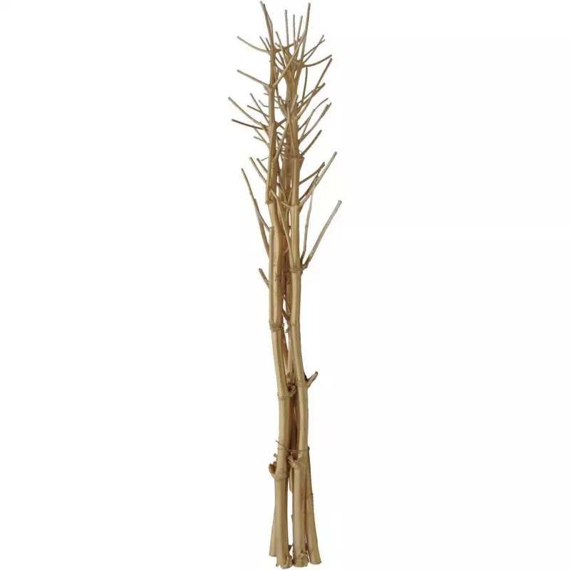 EUROPALMS Džiovintų pankolių puokštė, auksinė, 160cm 83502363
