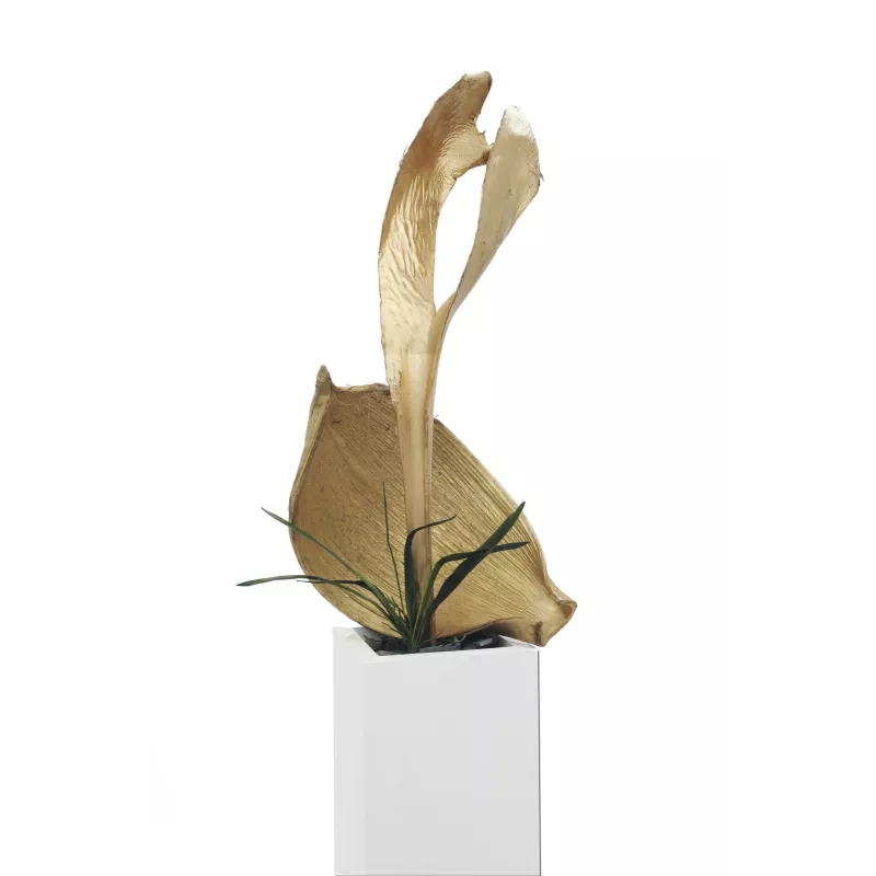 EUROPALMS džiovintas palmių lapo galvutė, auksinė, 60 cm 83502362