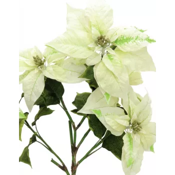 EUROPALMS dirbtinis kalėdinis krūmas „Poinsettia“, kreminės spalvos, 60 cm, 83500433