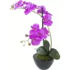 EUROPALMS dirbtinė orchidėjų kompozicija 4, baltos falenopsės keraminiame vazone, 60 cm 82530349