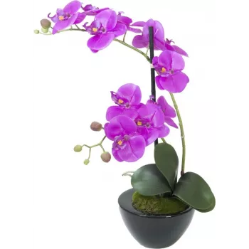EUROPALMS dirbtinė orchidėjų kompozicija 4, baltos falenopsės keraminiame vazone, 60 cm 82530349