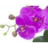 EUROPALMS dirbtinė orchidėjų kompozicija 4, baltos falenopsės keraminiame vazone, 60 cm 82530349