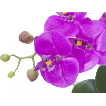 EUROPALMS dirbtinė orchidėjų kompozicija 4, baltos falenopsės keraminiame vazone, 60 cm 82530349